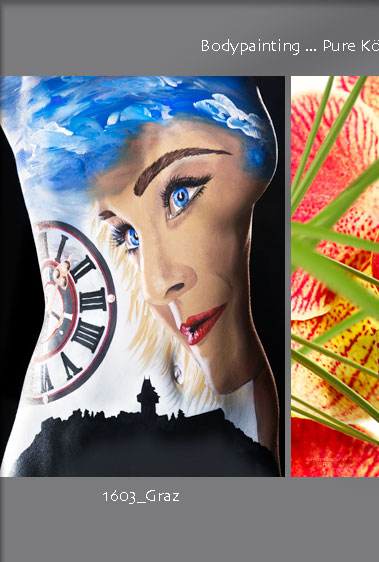 bettina fink graz spende